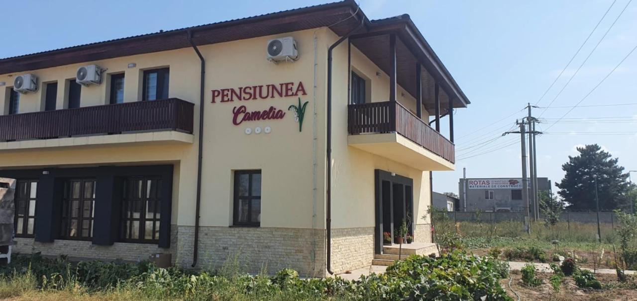 Pensiunea Camelia Baia Exteriör bild
