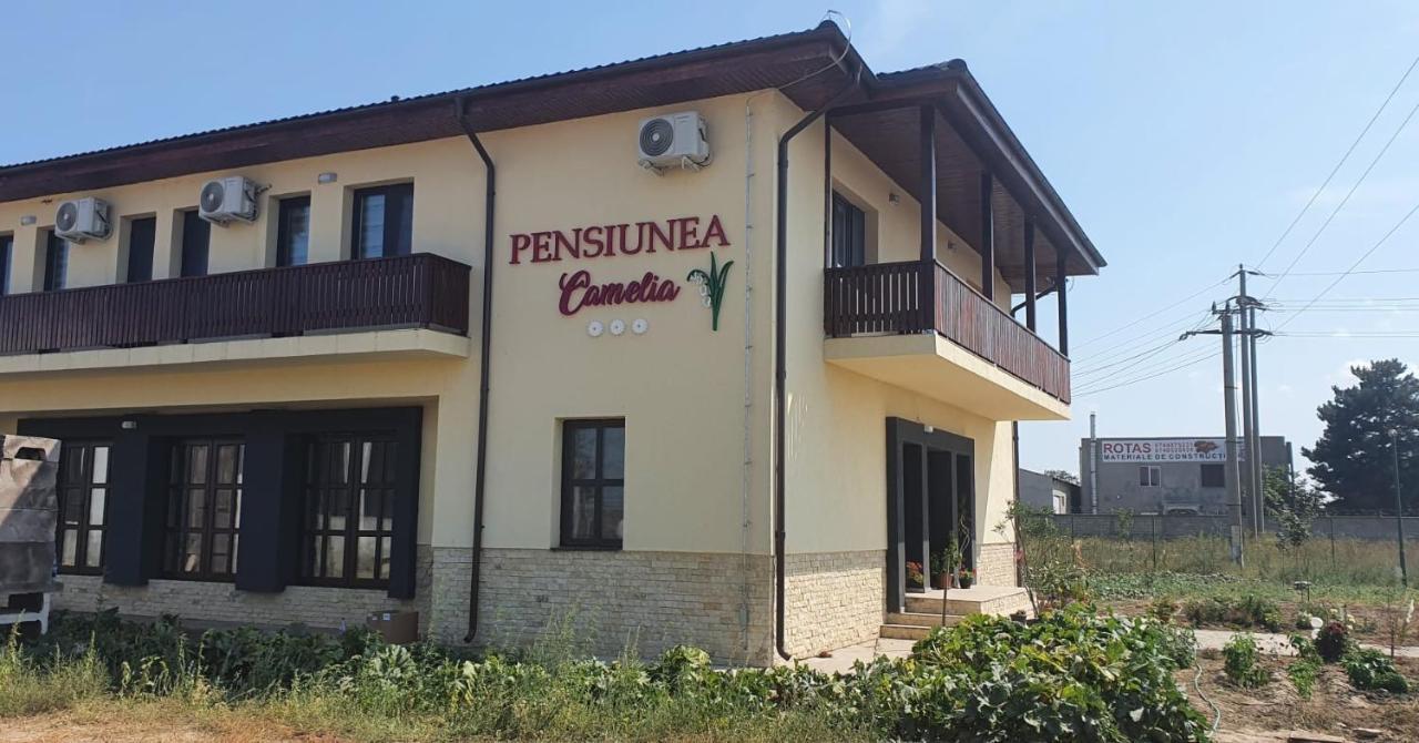 Pensiunea Camelia Baia Exteriör bild