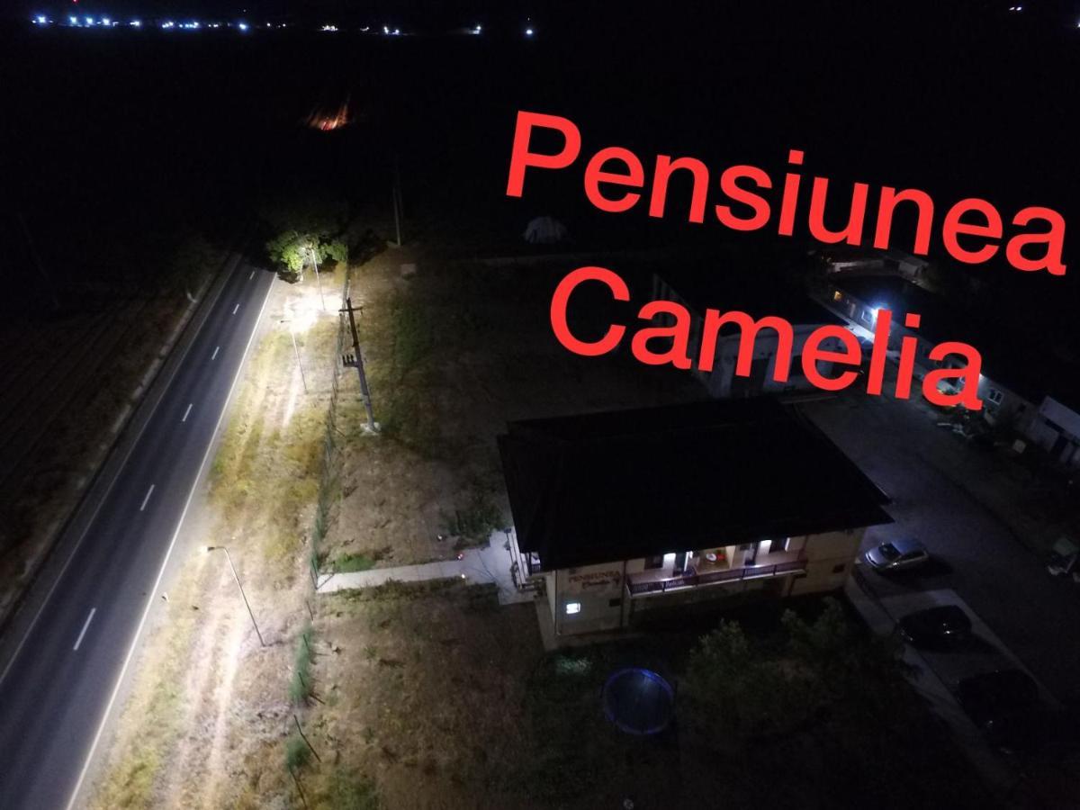 Pensiunea Camelia Baia Exteriör bild